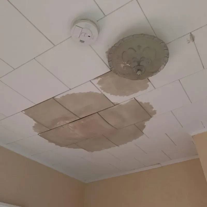 Ceiling Water Damage Repair in Roosevelt, NY